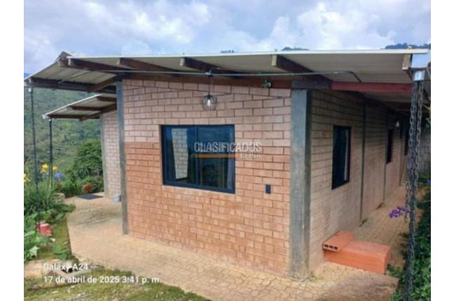 Fincas y Casas Campestres, Venta, Buga - $270.000.000