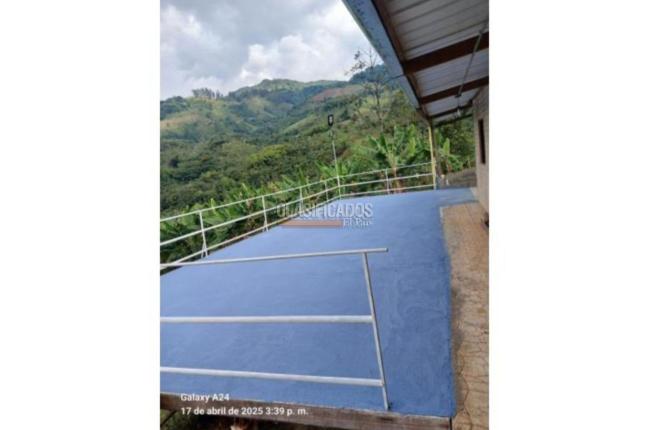 Fincas y Casas Campestres, Venta, Buga - $270.000.000