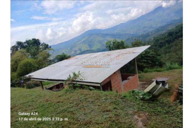 Fincas y Casas Campestres, Venta, Buga - $270.000.000
