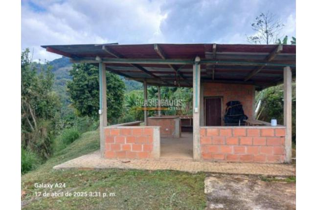 Fincas y Casas Campestres, Venta, Buga - $270.000.000