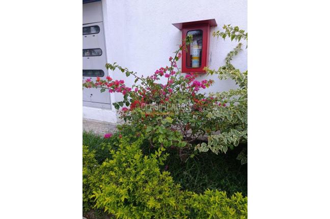 Apartamentos, Venta, Valle del Lili - $250.000.000