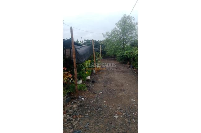 Fincas y Casas Campestres, Venta, Palmira - $400.000.000