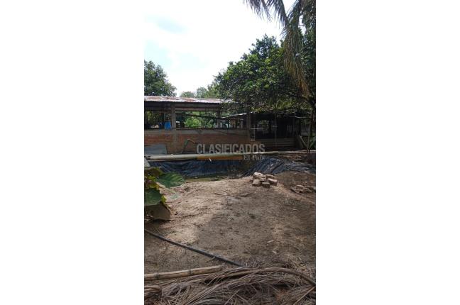 Fincas y Casas Campestres, Venta, Palmira - $400.000.000