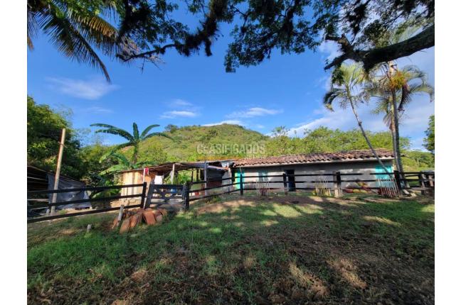 Fincas y Casas Campestres, Venta, Sevilla