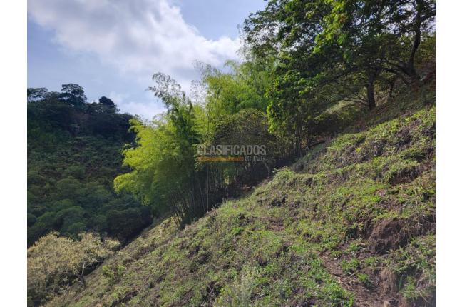 Fincas y Casas Campestres, Venta, Sevilla
