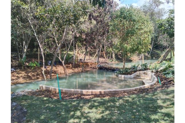 Casas, Venta, Pance - $7.800.000.000