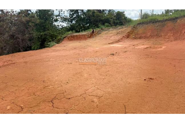 Lotes, Venta, Dagua - $290.000.000