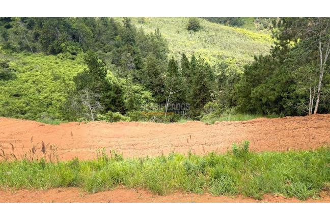 Lotes, Venta, Dagua - $290.000.000