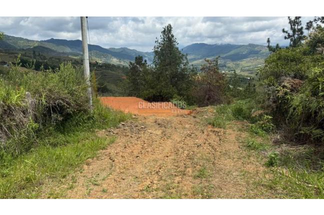 Lotes, Venta, Dagua - $290.000.000