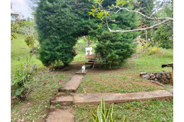Apartamentos, Alquiler, Pichindé - $1.800.000