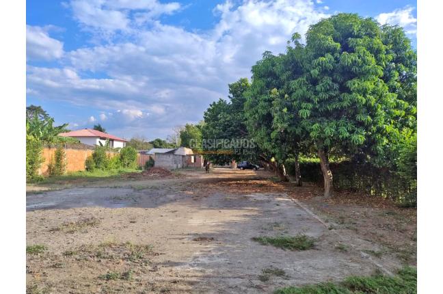 Lotes, Venta en Palmira