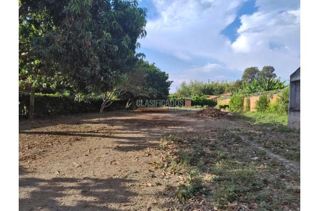 Lotes, Venta, Palmira - $650.000.000