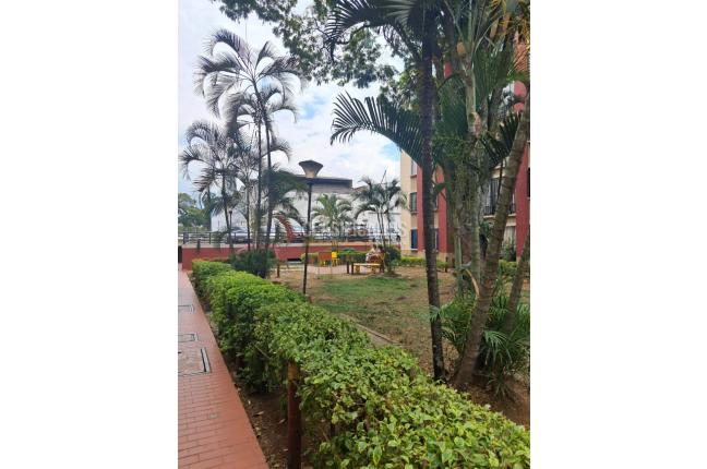 Apartamentos, Alquiler, Torres de Comfandi - $1.000.000