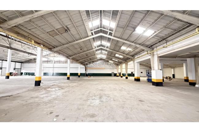 Locales y Bodegas, Alquiler, Salomia - $90.026.500