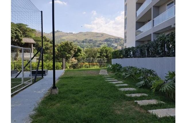 Apartamentos, Alquiler en Bellavista