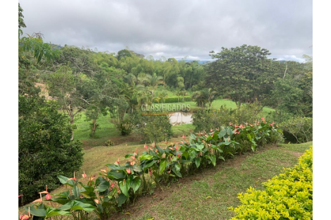 Fincas y Casas Campestres, Venta, Restrepo - $1.249.000.000