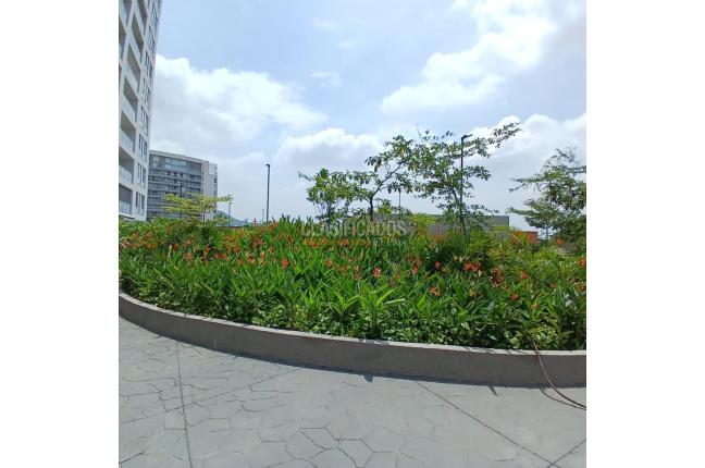 Apartamentos, Alquiler, Bellavista - $4.200.000
