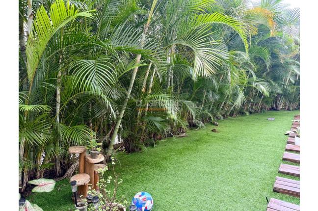 Apartamentos, Venta, Pance - $1.500.000.000