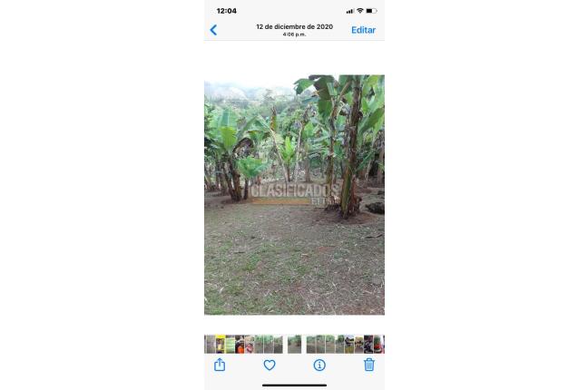 Fincas y Casas Campestres, Venta, Los Ciruelos - $420.000.000
