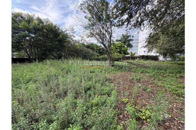 Lotes, Venta en Bellavista