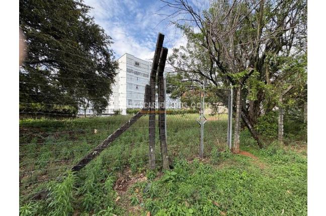 Lotes, Venta, Bellavista - $2.800.000.000