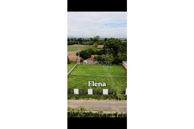 Lotes, Venta en Palmira