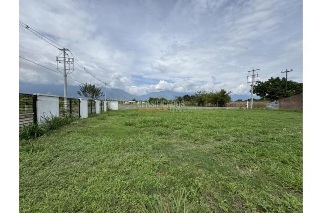 Lotes, Venta, Palmira - $290.000.000