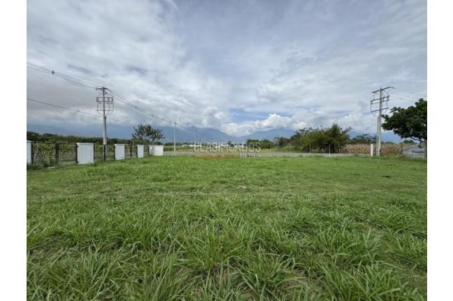 Lotes, Venta, Palmira - $290.000.000