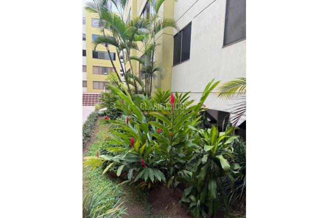 Apartamentos, Venta, El Ingenio - $450.000.000