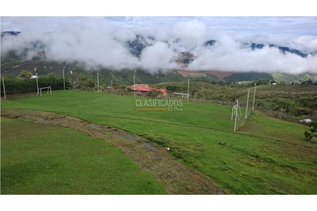 Fincas y Casas Campestres, Venta, La Elvira - $1.800.000.000