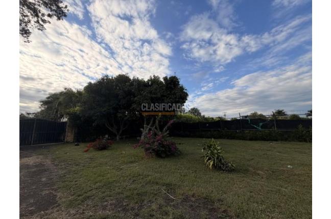 Lotes, Venta en Palmira