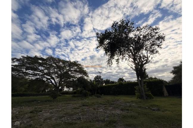 Lotes, Venta, Palmira - $990.000.000