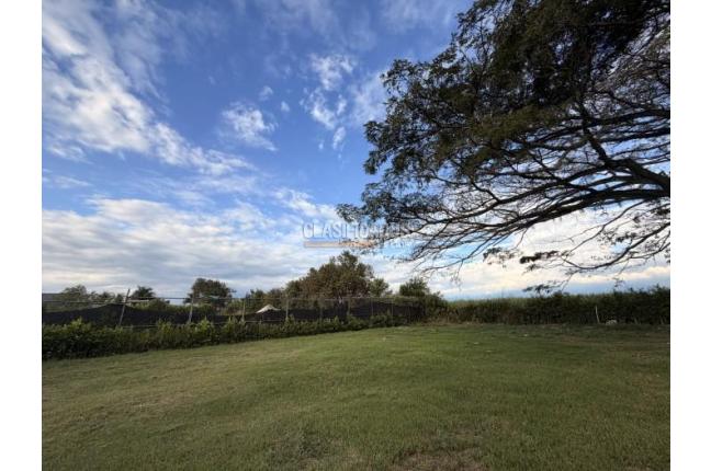 Lotes, Venta, Palmira - $990.000.000