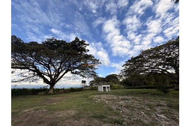 Lotes, Venta, Palmira - $990.000.000
