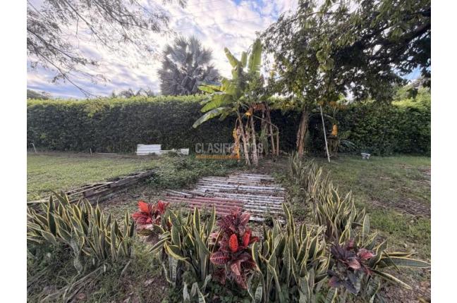 Lotes, Venta, Palmira - $990.000.000