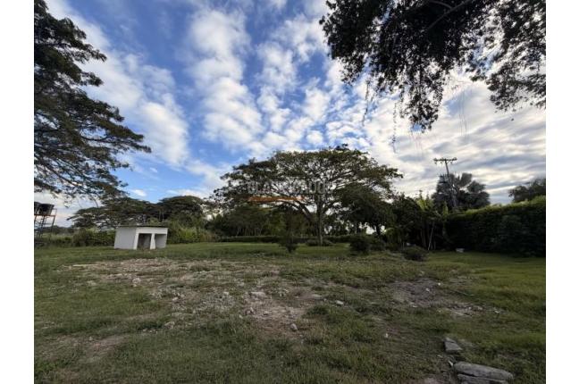 Lotes, Venta, Palmira - $990.000.000