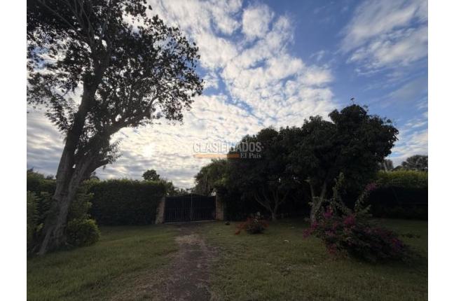Lotes, Venta, Palmira - $990.000.000