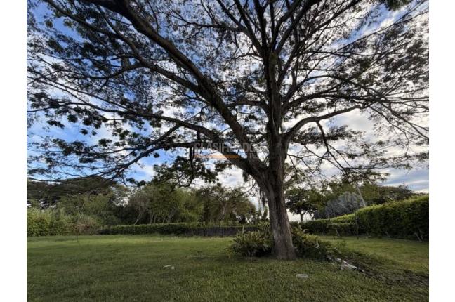 Lotes, Venta, Palmira - $990.000.000