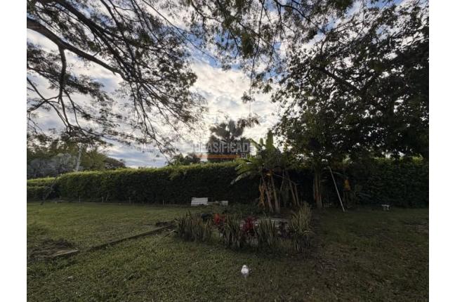 Lotes, Venta, Palmira - $990.000.000