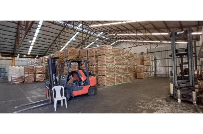 Locales y Bodegas, Venta, Salomia - $25.000.000.000