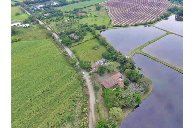 Casas, Venta, Ginebra - $700.000.000