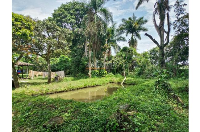 Casas, Venta, Ginebra - $700.000.000