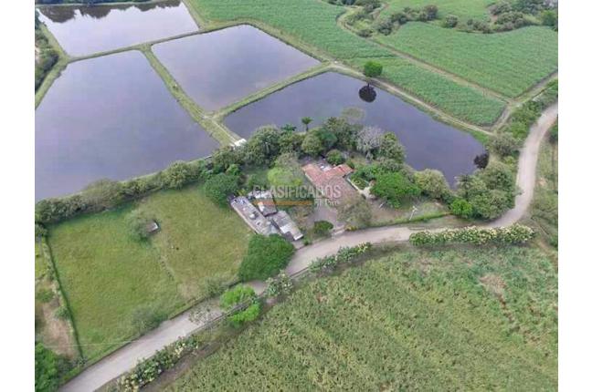 Casas, Venta, Ginebra - $700.000.000