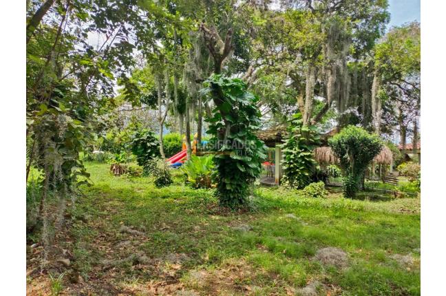 Casas, Venta, Ginebra - $700.000.000