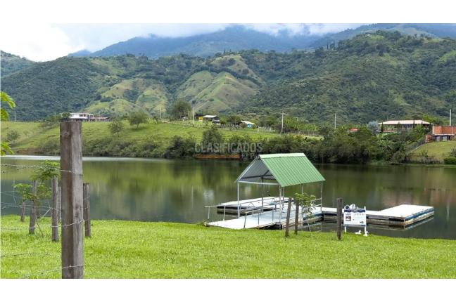 Lotes, Venta en Palmira