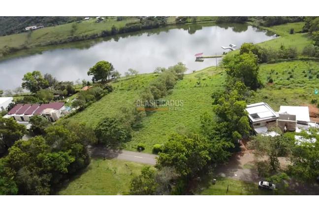 Lotes, Venta en Palmira