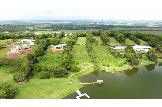 Lotes, Venta en Palmira