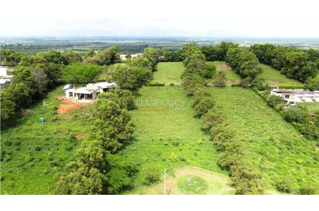 Lotes, Venta, Palmira - $690.000.000