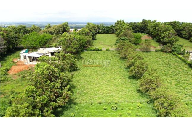 Lotes, Venta, Palmira - $690.000.000