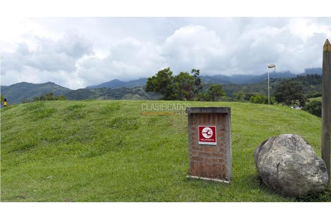 Lotes, Venta, Palmira - $690.000.000